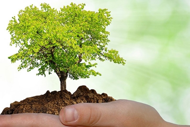 Educação Ambiental