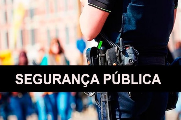 Segurança Publica Segurança Publica